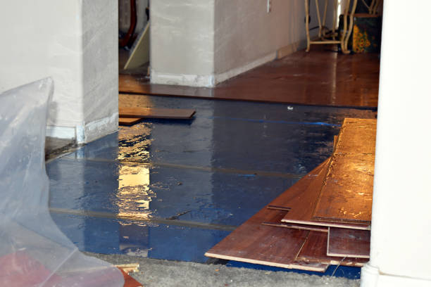 Professional Basement Flood Cleanup technician working in Roanoke, IL
