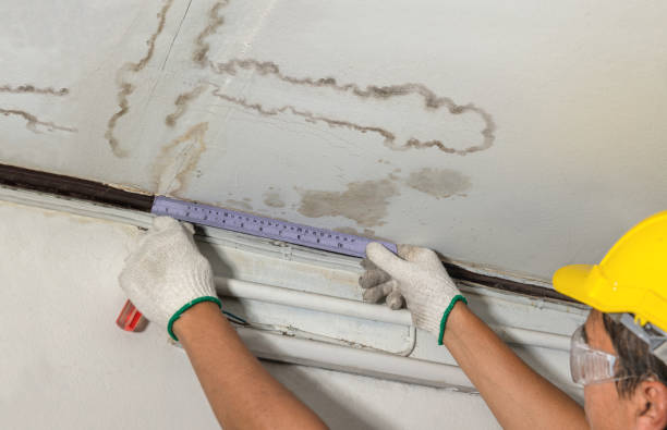 Reliable Basement Flood Cleanup contractor in Roanoke, IL by Aqua Guard Water Damage